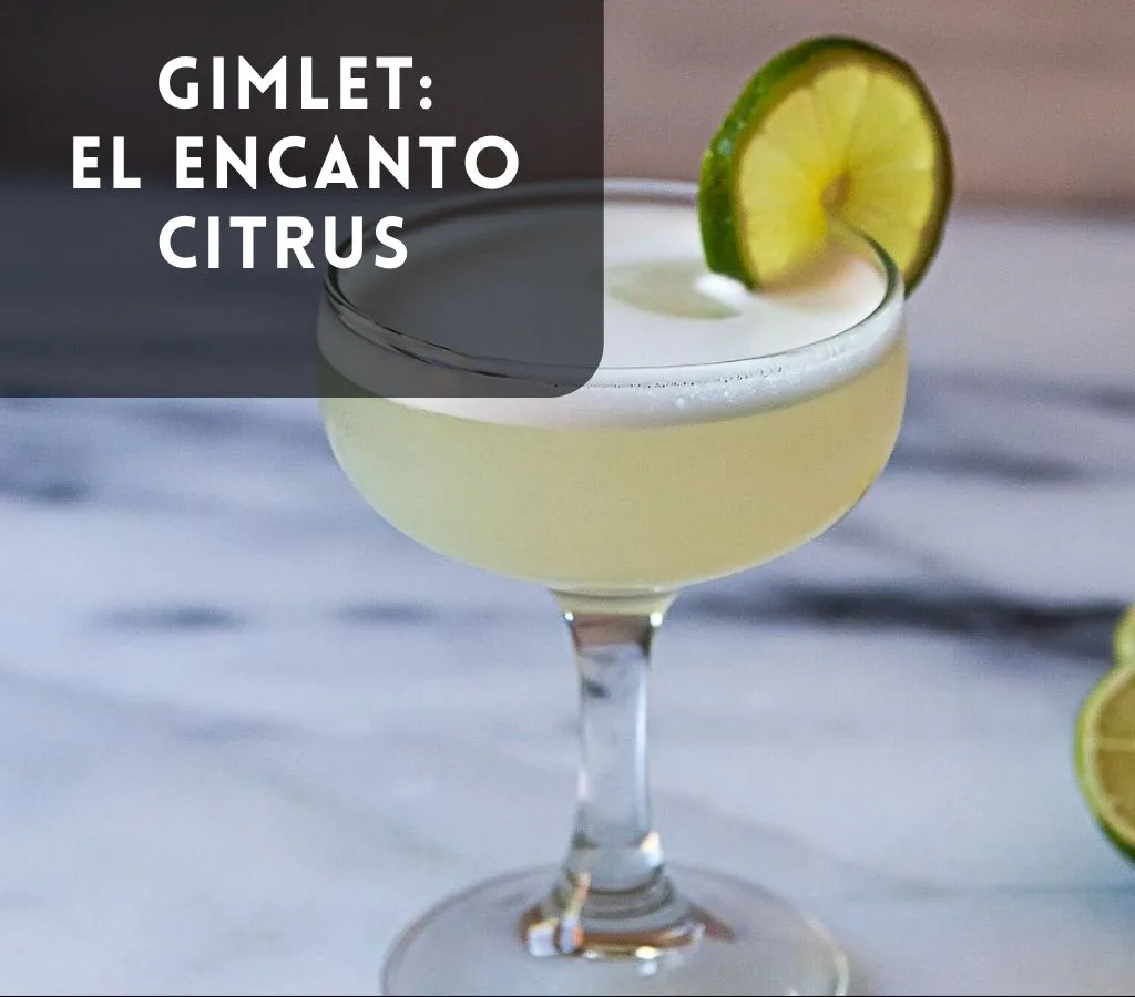 Gimlet Descubre el Encanto Citrus en Cada Sorbo de Este Cóctel